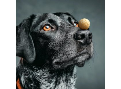 Фото 4 -  ласощі Collar WAUDOG Treats Cheese Balls ласощі для собак ХРУСТКІ СИРНІ КУЛЬКИ