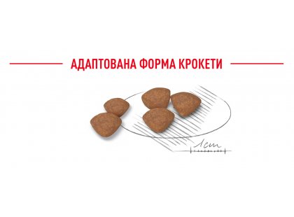 Фото 12 -  сухой корм Royal Canin MINI STARTER MOTHER & BABYDOG корм для беременных и кормящих сук и щенков мини-пород