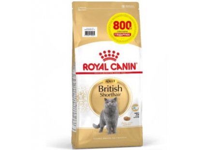 Фото - Royal Canin BRITISH SHORTHAIR (БРИТАНСЬКА КОРОТКОШЕРСНА) корм для кішок сухий корм Royal Canin BRITISH SHORTHAIR (БРИТАНСЬКА КОРОТКОШЕРСНА) корм для кішок