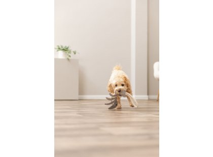 Фото 3 -  игрушки Trixie Fish Bone on Rope игрушка из кожи для собак СКЕЛЕТ РЫБЫ НА ВЕРЕВКЕ (35993)