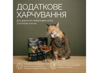 Фото 3 -  лакомства Savory Cats Snacks Crunchy Balls лакомство для привередливых кошек С КОШАЧЬЕЙ МЯТОЙ