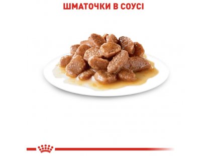 Фото 8 -  влажный корм (консервы) Royal Canin AGEING 12+ влажный корм для пожилых кошек старше 12 лет