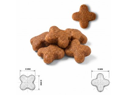 Фото 7 -  сухой корм ProScience Healthy Growth Kitten Lamb сухой корм для котят ЯГНЕНОК