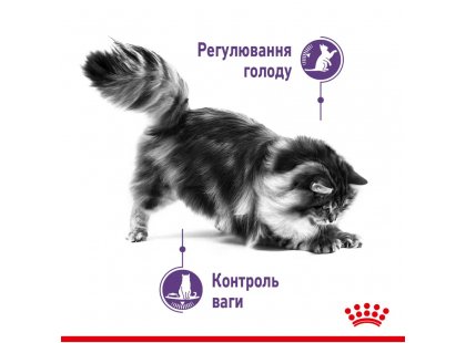 Фото - сухий корм Royal Canin APPETITE CONTROL (АПЕТИТ КОНТРОЛЬ) корм для стерилізованих кішок від 1 до 7 років