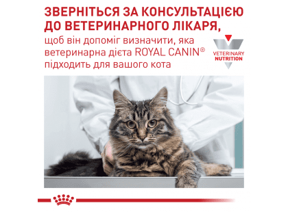 Фото 9 -  ветеринарні корми Royal Canin RENAL RF23 (РЕНАЛ) сухий лікувальний корм для котів від 1 року
