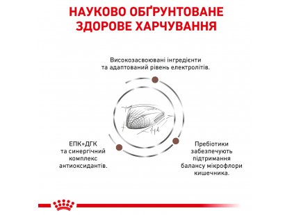 Фото - ветеринарні корми Royal Canin GASTRO INTESTINAL GI32 (ГАСТРО ІНТЕСТИНАЛ) сухий лікувальний корм для котів від 1 року