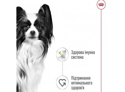 Фото 6 -  влажный корм (консервы) Royal Canin X-SMALL ADULT влажный корм для собак миниатюрных пород