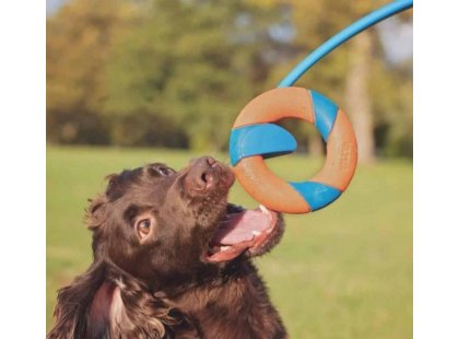 Фото 4 -  игрушки CHUCKIT Ring Chaser Launcher игрушка для собак КАТАПУЛЬТА С КОЛЬЦОМ
