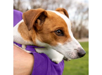 Фото 4 -  повсякденна косметика Hydra Retail Forever Sweet Cologne парфуми для собак і котів СОЛОДКИЙ АРОМАТ