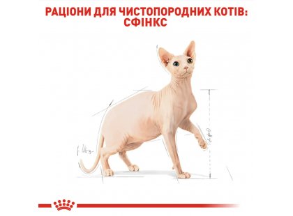 Фото - сухой корм Royal Canin SPHYNX (СФИНКС) корм для кошек от 1 года