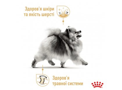 Фото - влажный корм (консервы) Royal Canin POMERANIAN ADULT (ПОМЕРАНСКИЙ ШПИЦ) влажный корм для собак от 8 месяцев