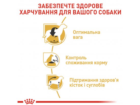 Фото - сухой корм Royal Canin BEAGLE ADULT (БИГЛЬ) корм для собак от 12 месяцев