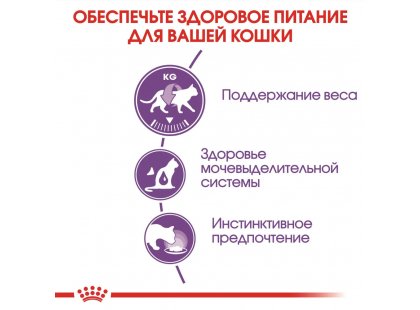 Фото 3 -  вологий корм (консерви) Royal Canin STERILISED JELLY консервований корм для стерилізованих кішок