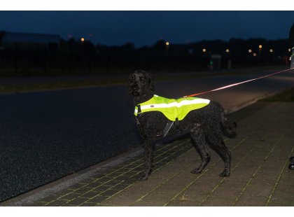 Фото 8 -  одяг Trixie Захисний світловідбиваючий жилет для собак, жовтий неон