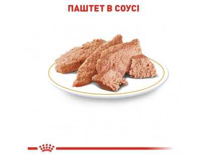 Фото 6 -  влажный корм (консервы) Royal Canin POODLE LOAF (ПУДЕЛЬ) влажный корм для собак