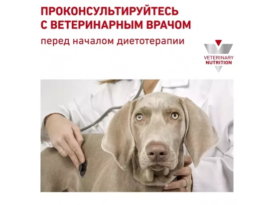 Фото - ветеринарні корми Royal Canin GASTRO INTESTINAL HIGH FIBRE лікувальний корм із підвищеним вмістом клітковини для собак при порушеннях травлення