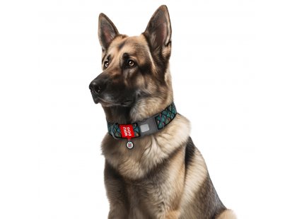 Фото 8 -  амуніція Collar WAUDOG Nylon нейлоновий нашийник для собак з QR-адресою, пластиковий фастекс, ЛУСКА