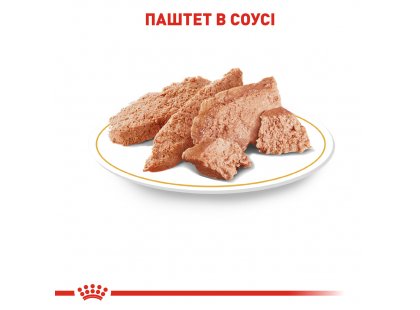 Фото 8 -  вологий корм (консерви) Royal Canin CHIHUAHUA ADULT (ЧИХУАХУА ЕДАЛТ) вологий корм для собак від 8 місяців