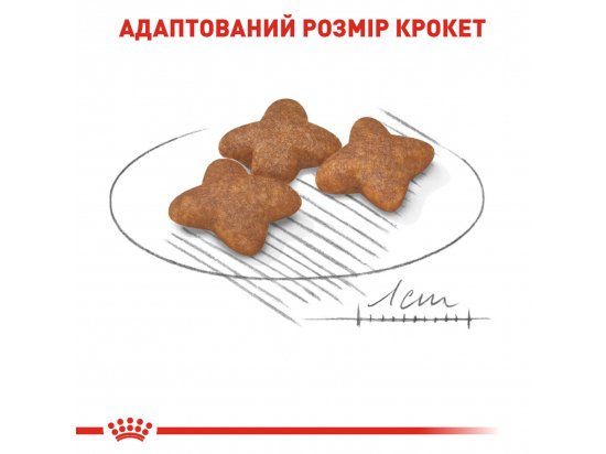 Фото - сухой корм Royal Canin MINI ADULT (СОБАКИ МЕЛКИХ ПОРОД ЭДАЛТ) корм для собак от 10 месяцев