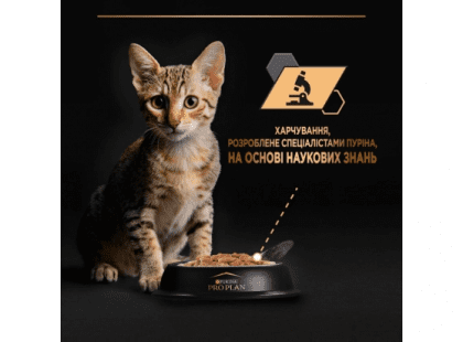 Фото 9 -  влажный корм (консервы) Purina Pro Plan (Пурина Про План) Kitten Healthy Start Turkey влажный корм для котят, кусочки в подливе ИНДЕЙКА