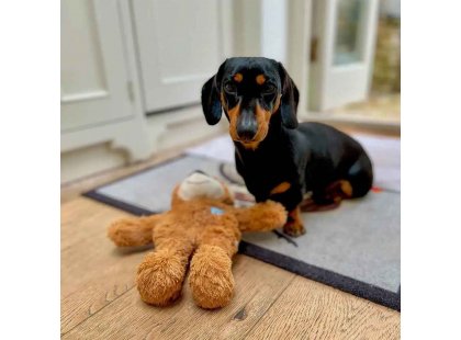 Фото 6 -  игрушки Kong Wild Knots Bear игрушка с пищалкой для собак МЕДВЕЖОНОК С УЗЛАМИ