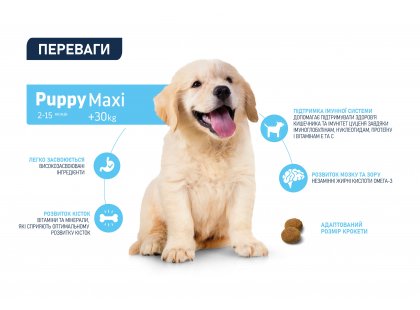 Фото 10 -  сухий корм Advance (Едванс) Dog Maxi Puppy - корм для цуценят великих порід (з куркою та рисом)