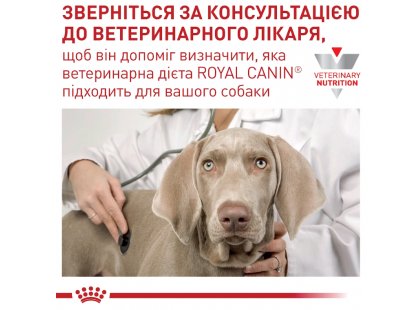 Фото 9 -  ветеринарные корма Royal Canin MOBILITY SUPPORT (МОБИЛИТИ) сухой лечебный корм для собак  для здоровья суставов