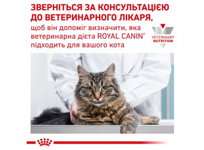 Фото 9 -  ветеринарні корми Royal Canin GASTRO INTESTINAL GI32 (ГАСТРО ІНТЕСТИНАЛ) сухий лікувальний корм для котів від 1 року