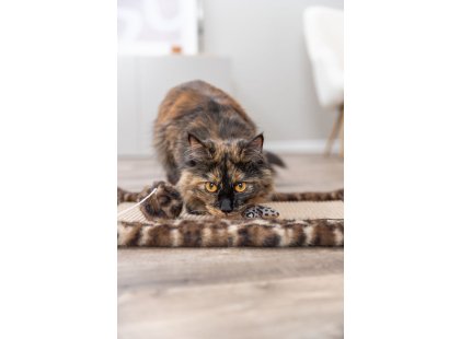 Фото 4 -  дряпалки, з будиночками Trixie Leo кігтеточка-килимок для котів ЛЕО, коричневий (48171)