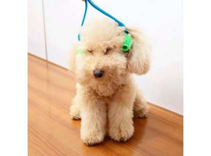 Фото 3 -  расчески, щетки, грабли DoggyMan Dog Massager роликовый массажер для собак