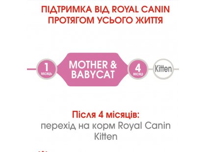 Фото - влажный корм (консервы) Royal Canin MOTHER & BABYCAT (БЕБИКЕТ ИНСТИНКТИВ) Влажный корм для котят с рождения до 4 месяцев