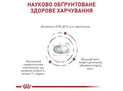 Фото 3 -  ветеринарні корми Royal Canin CARDIAC сухий дієтичний корм для собак при серцевій недостатності