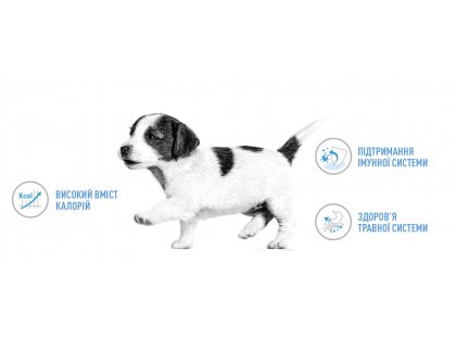 Фото 12 -  сухий корм Royal Canin MINI PUPPY корм для цуценят дрібних порід від 2 до 10 місяців