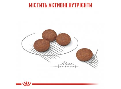 Фото 2 -  сухой корм Royal Canin MINI DIGESTIVE CARE корм для собак мелких пород с чувствительным пищеварением (до 10 кг)