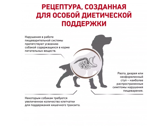 Фото - ветеринарні корми Royal Canin GASTRO INTESTINAL HIGH FIBRE лікувальний корм із підвищеним вмістом клітковини для собак при порушеннях травлення