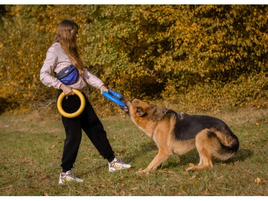 Фото - іграшки Collar PULLER Colors of Freedom тренувальний снаряд для собак (2 кільця)