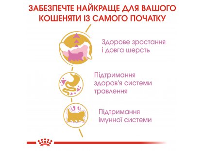 Фото 2 -  сухий корм Royal Canin KITTEN PERSIAN 32 (КІТТЕН ПЕРСІАН) корм для кошенят від 4-12 місяців