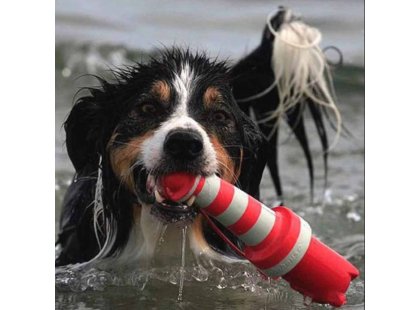 Фото 2 -  игрушки Kong Rogz Lighthouse плавающая игрушка для собак МАЯК