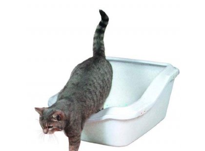 Фото - Trixie CLEANY CAT відкритий туалет з бортиком для котів, білий туалети, лотки Trixie CLEANY CAT відкритий туалет з бортиком для котів, білий