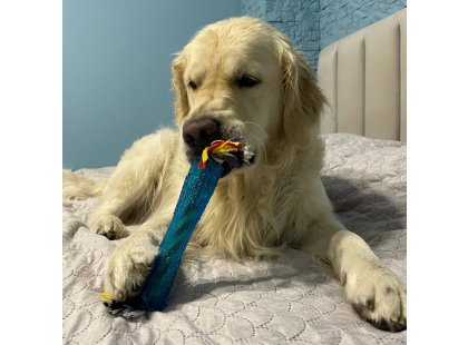 Фото - Petstages ORKA STICK игрушка для собак ПАЛОЧКА С КАНАТИКОМ игрушки Petstages ORKA STICK игрушка для собак ПАЛОЧКА С КАНАТИКОМ