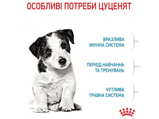 Фото - сухой корм Royal Canin MINI PUPPY корм для щенков мелких пород от 2 до 10 месяцев