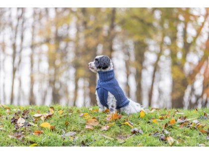 Фото 3 -  одежда Trixie Norwood пуловер для собак, синий