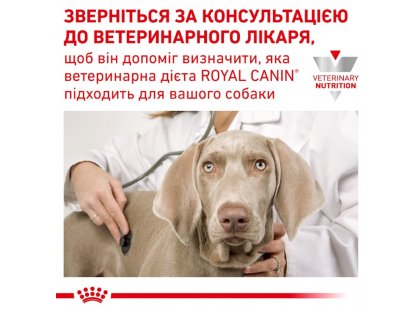 Фото 7 -  ветеринарні корми Royal Canin DIABETIC сухий лікувальний корм для собак