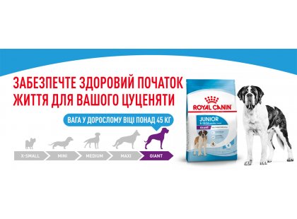 Фото 6 -  сухой корм Royal Canin GIANT JUNIOR (ЮНИОРЫ ГИГАНТСКИХ ПОРОД) корм для щенков от 8-24 месяцев