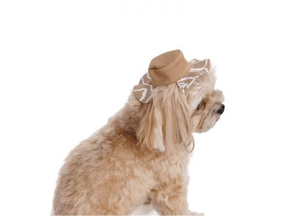 Фото 6 -  одяг Pet Fashion Print панама для собак