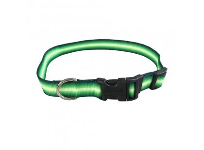 Фото - Coastal Trendz Graduated нейлоновый ошейник для собак, зеленый амуниция Coastal Trendz Graduated нейлоновый ошейник для собак, зеленый