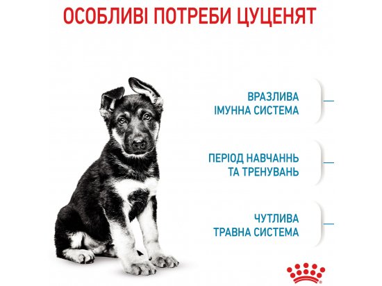 Фото 4 -  сухой корм Royal Canin MAXI PUPPY корм для щенков крупных пород от 2 до 15 месяцев