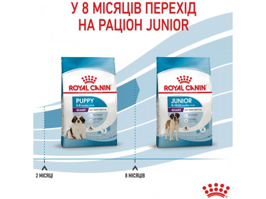 Фото - сухий корм Royal Canin GIANT PUPPY корм для цуценята гігантських порід від 2 до 8 місяців