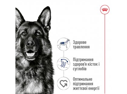 Фото 4 -  сухий корм Royal Canin MAXI AGEING 8+ (МАКСІ АЙДЖИНГ 8+) корм для собак великих порід від 8 років