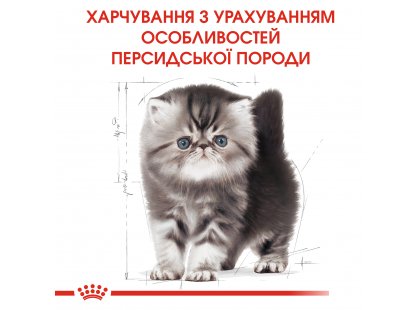 Фото 3 -  сухий корм Royal Canin KITTEN PERSIAN 32 (КІТТЕН ПЕРСІАН) корм для кошенят від 4-12 місяців
